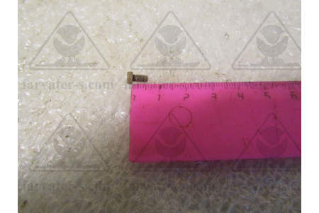 Винт 8М3-6
