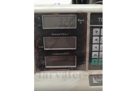 Поршень насоса забортной воды NVD-24 37129 (Д1Г.37.01)